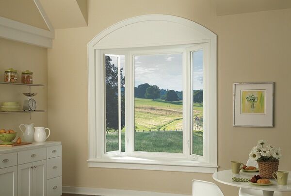 Window 5