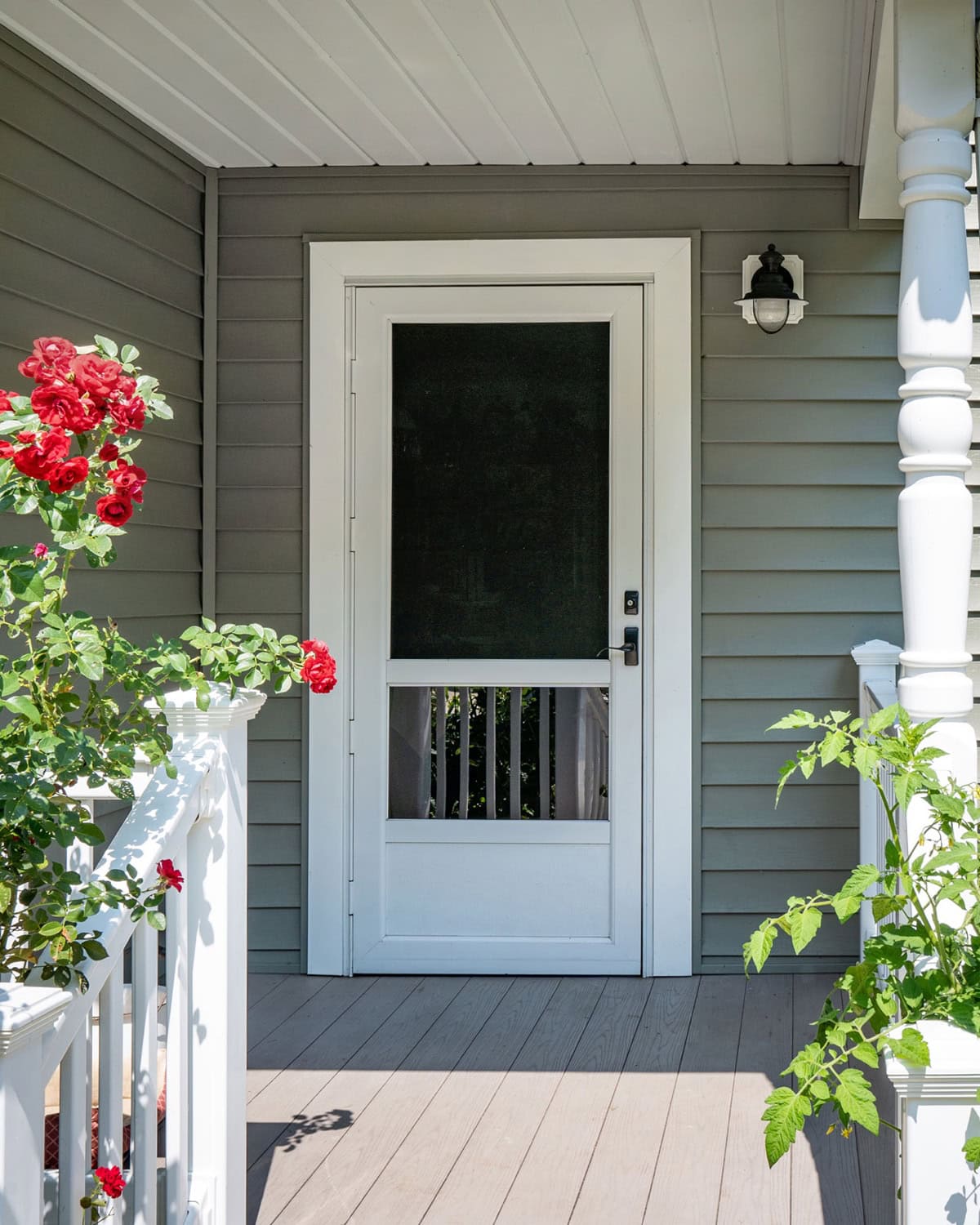 Provia-Storm-Doors-Minnesota-Rusco-037
