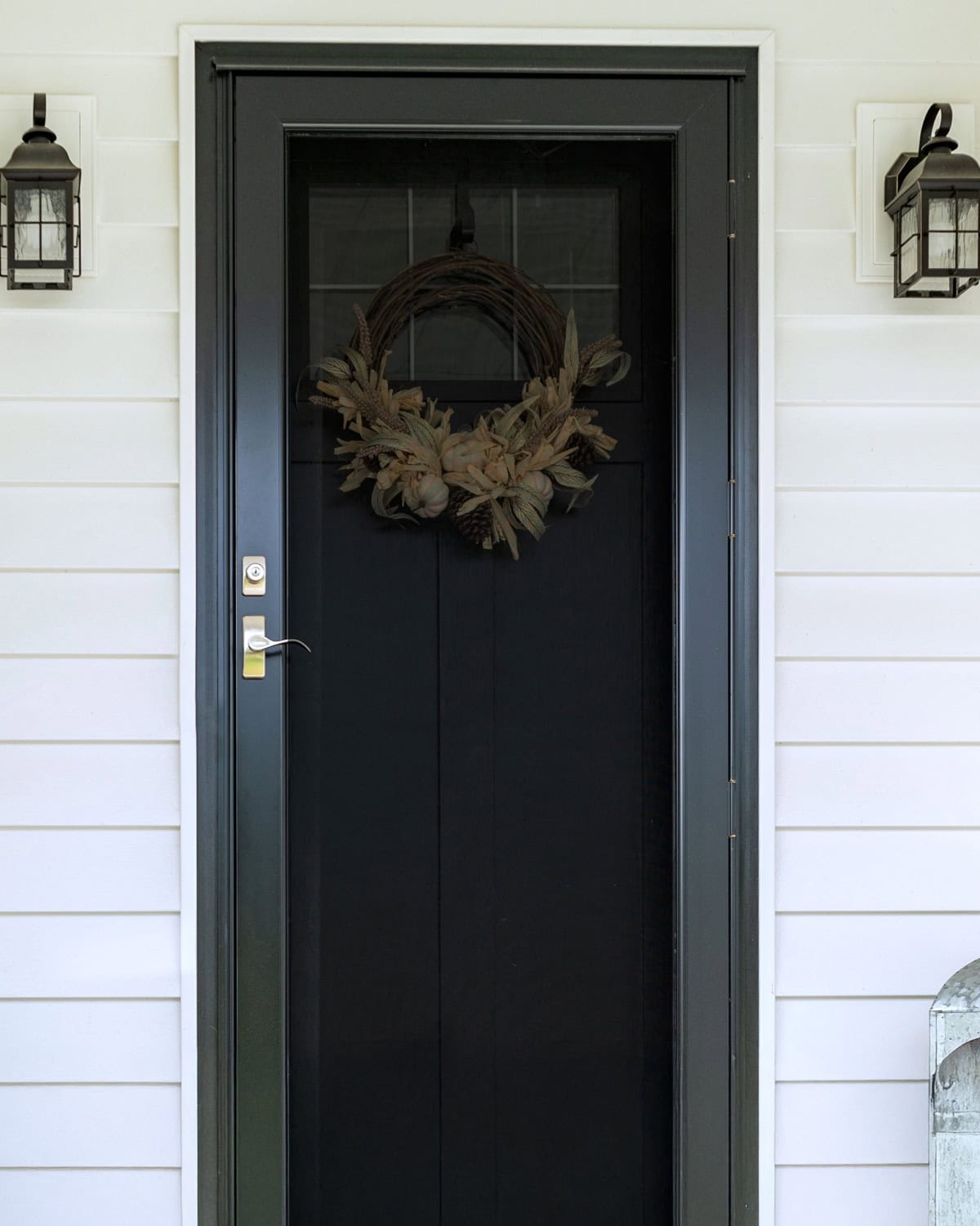 Provia-Storm-Doors-Minnesota-Rusco-039